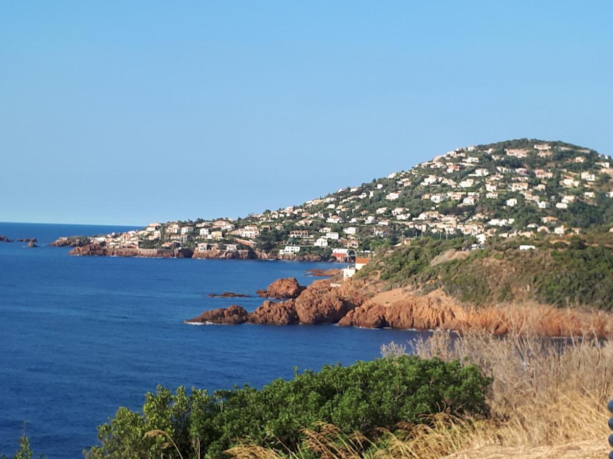 Frejus Plage T2, Piscine, Parking, Plages A 200M Exterior photo