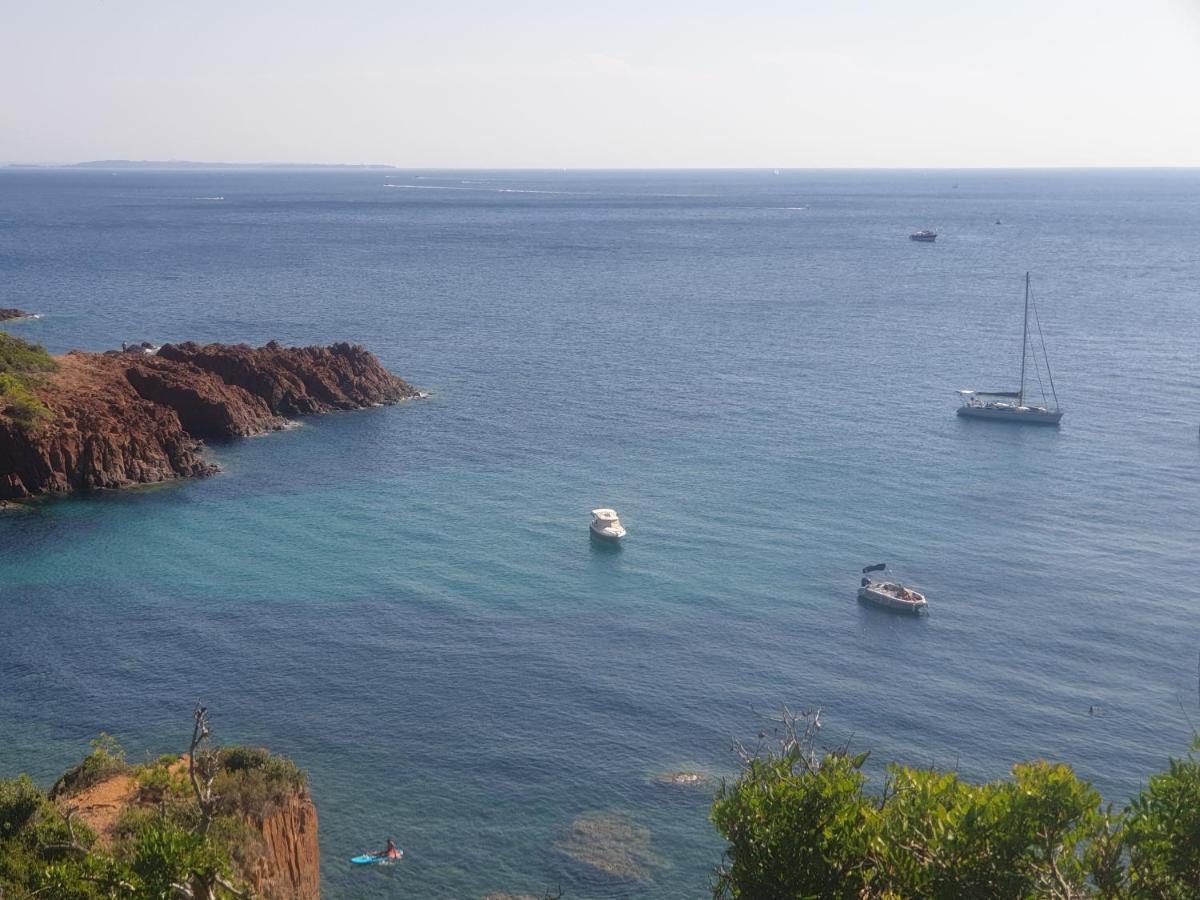 Frejus Plage T2, Piscine, Parking, Plages A 200M Exterior photo